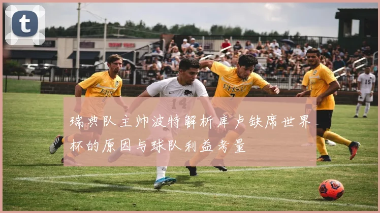 瑞典队主帅波特解析库卢缺席世界杯的原因与球队利益考量