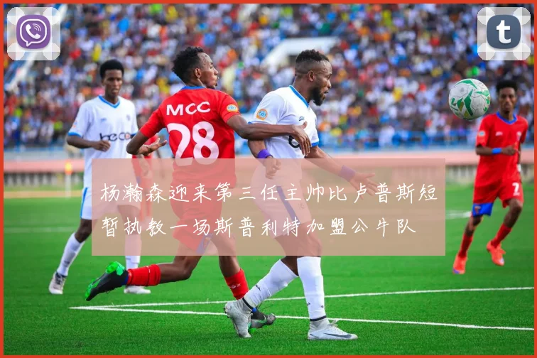 杨瀚森迎来第三任主帅比卢普斯短暂执教一场斯普利特加盟公牛队