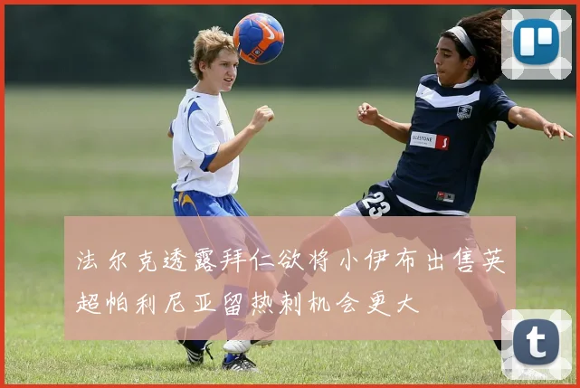 法尔克透露拜仁欲将小伊布出售英超帕利尼亚留热刺机会更大